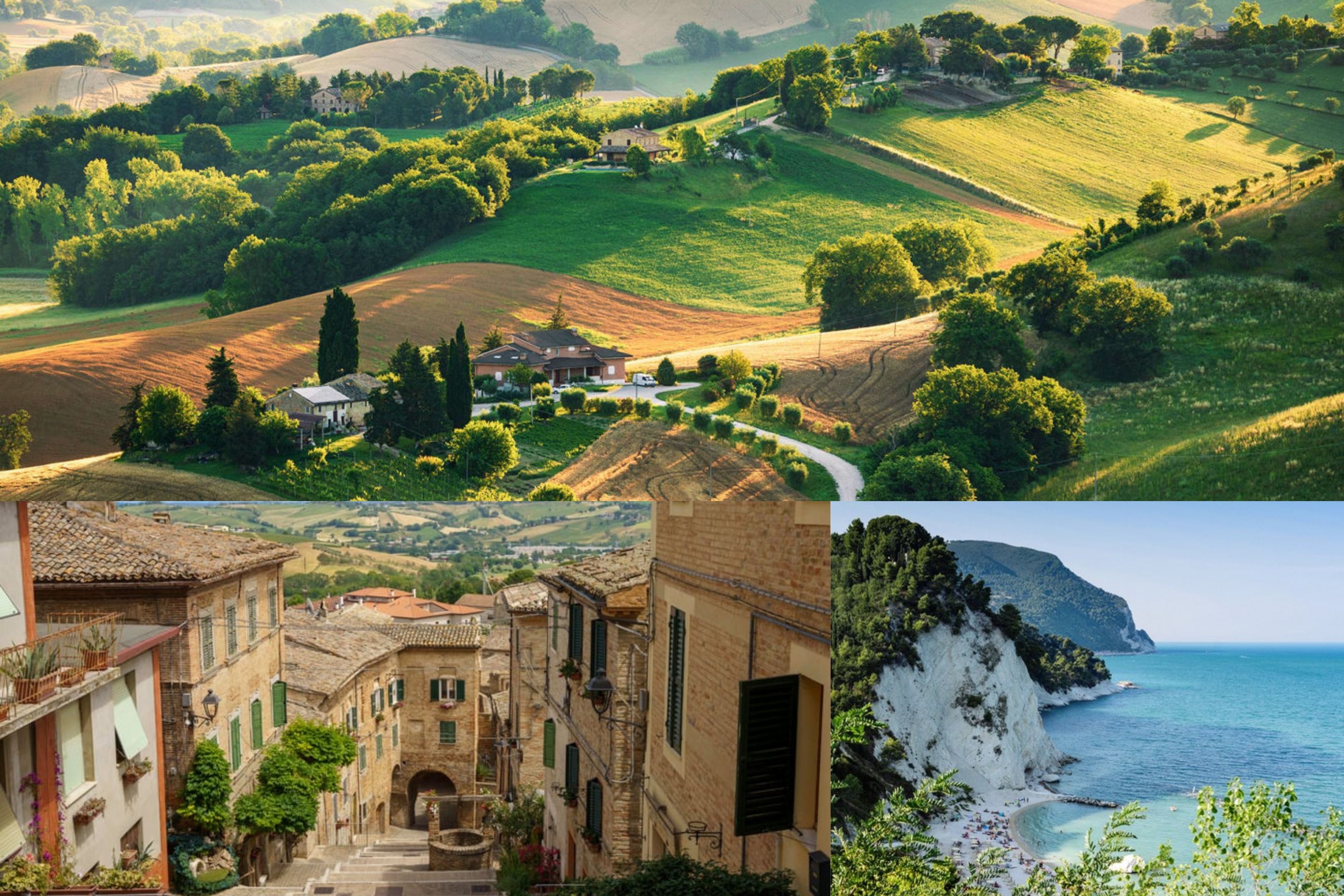 Le Marche landscape — rolling green hills, a medieval hilltown, and the Adriatic coast