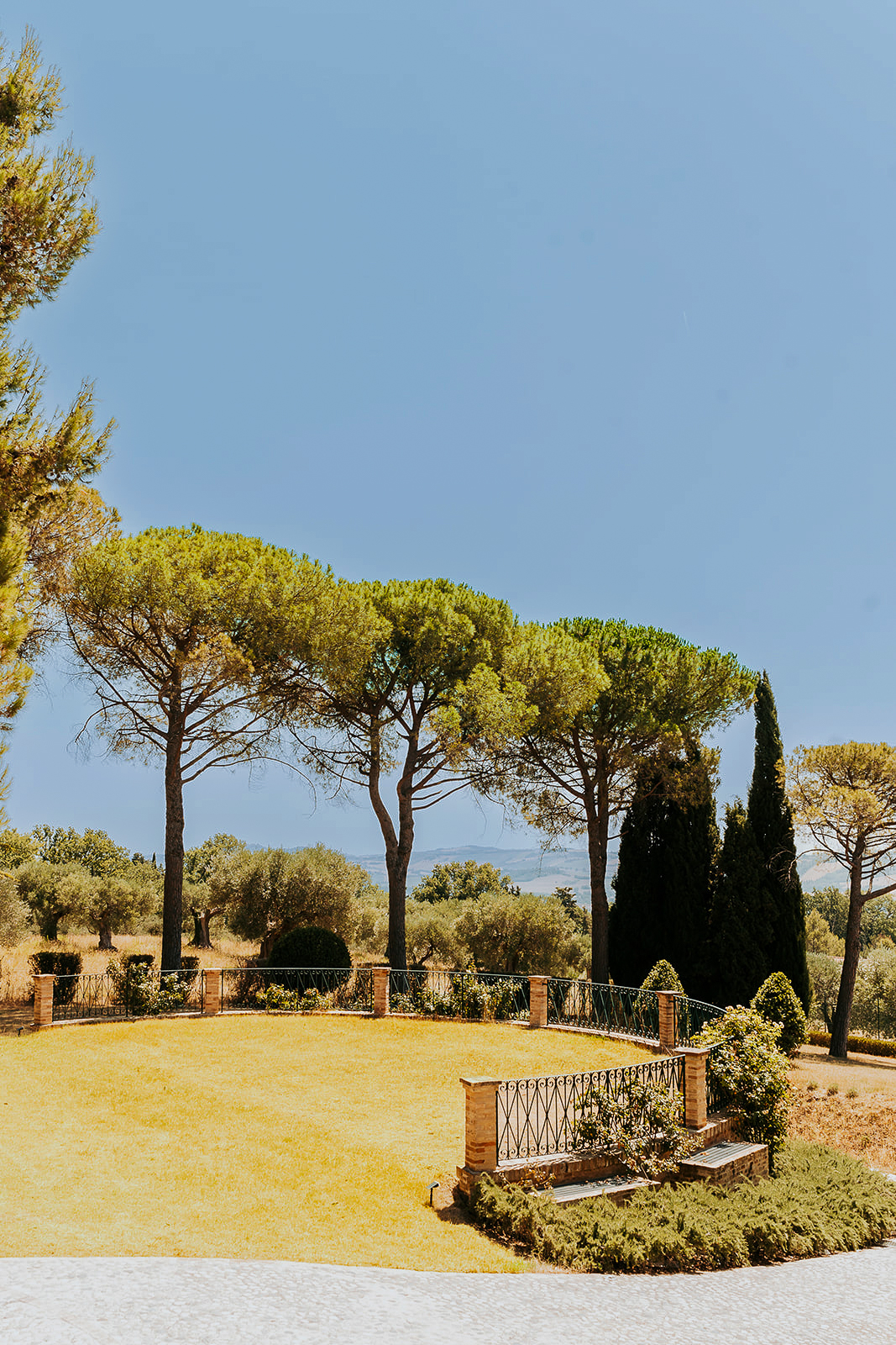 The grounds of Maniero Montecassiano with umbrella pines and Italian countryside beyond